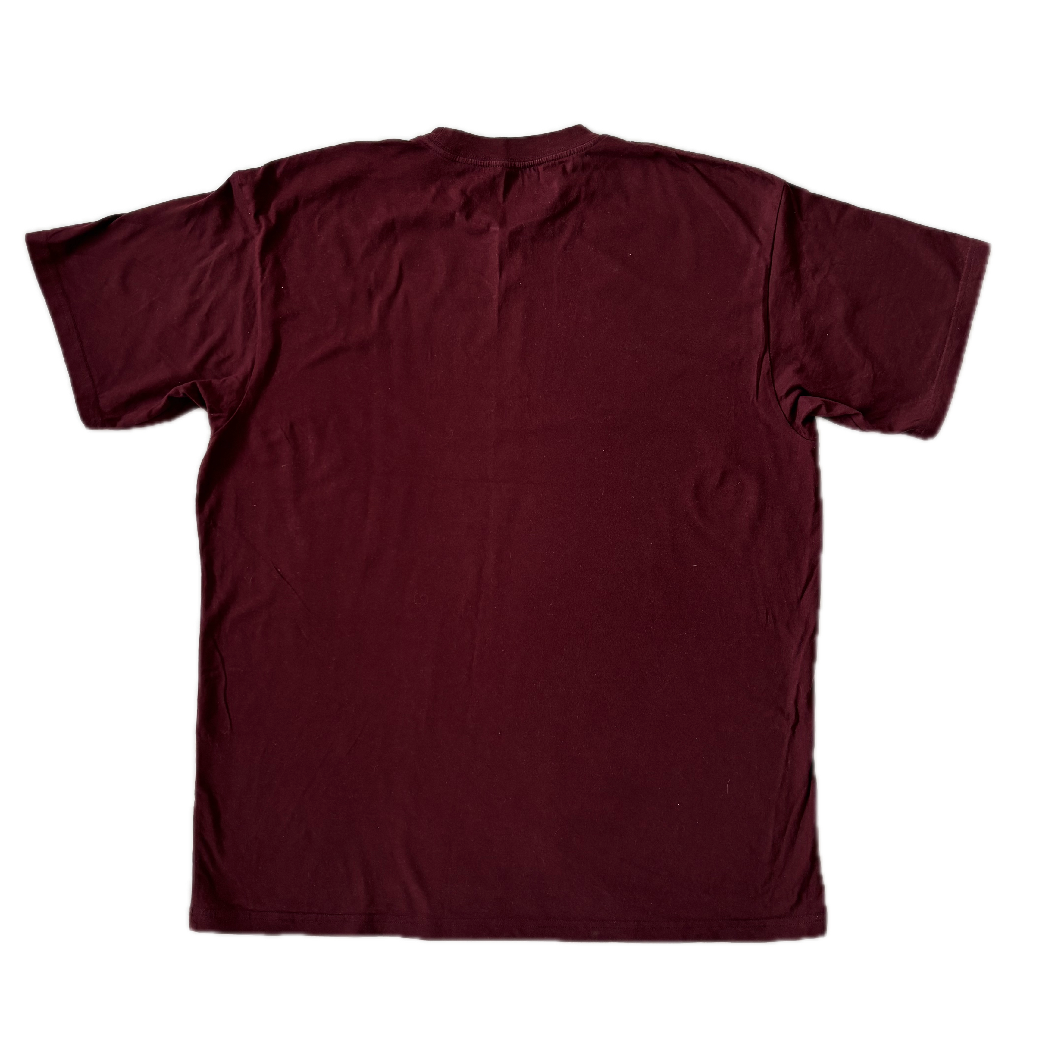 CARHARTT WIP S/S Paisley Script Tee XXL