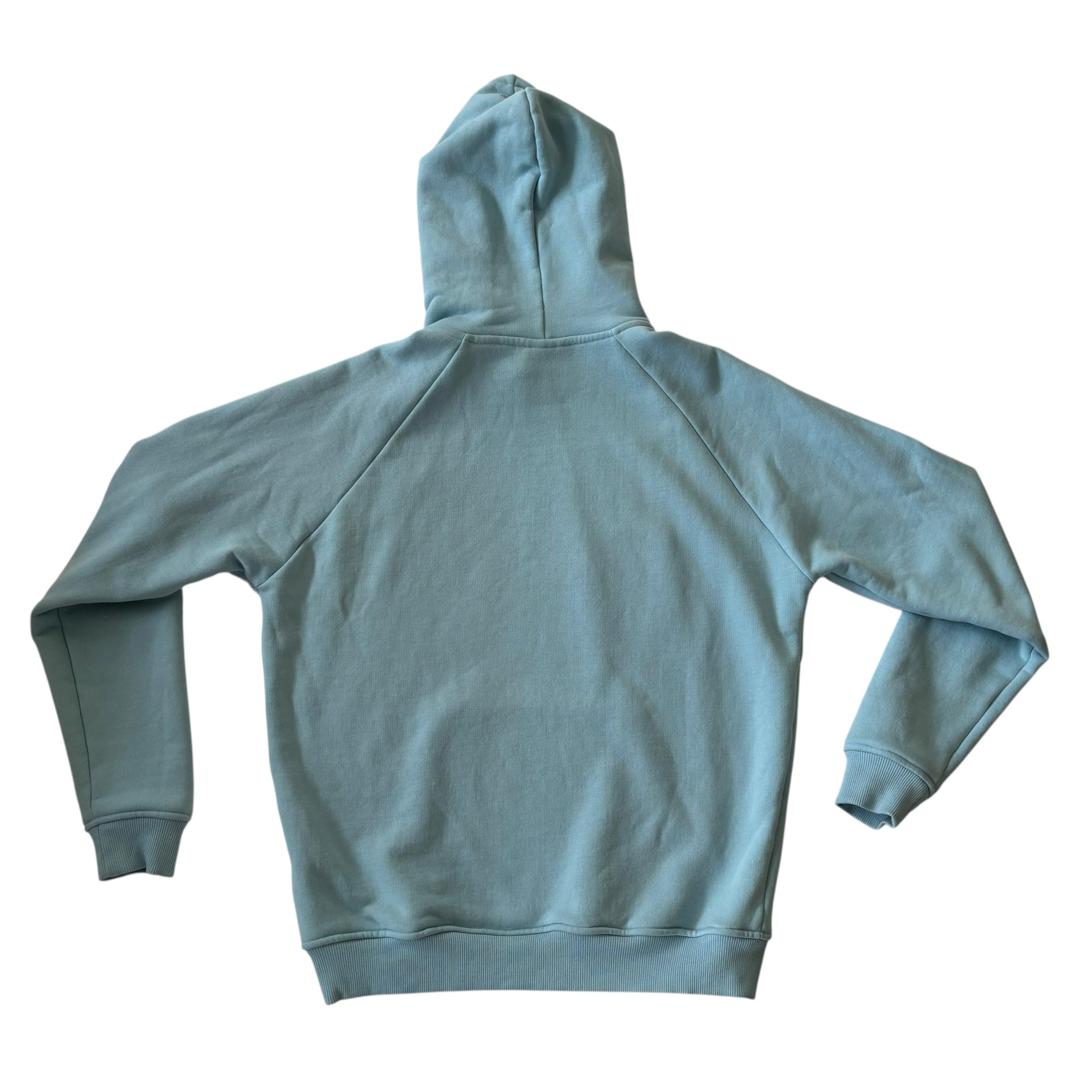 NO HUGS Skyroses Hoodie L