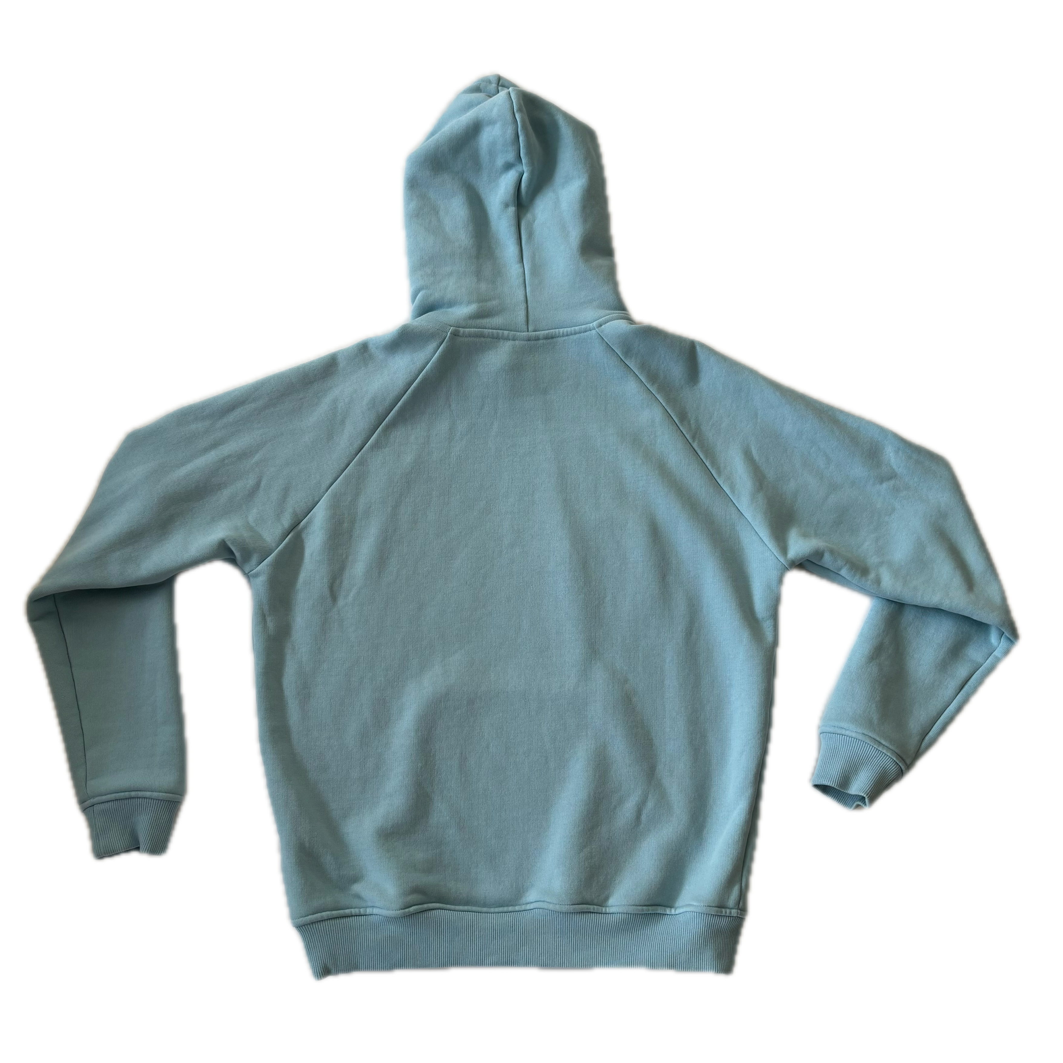 NO HUGS Skyroses Hoodie L